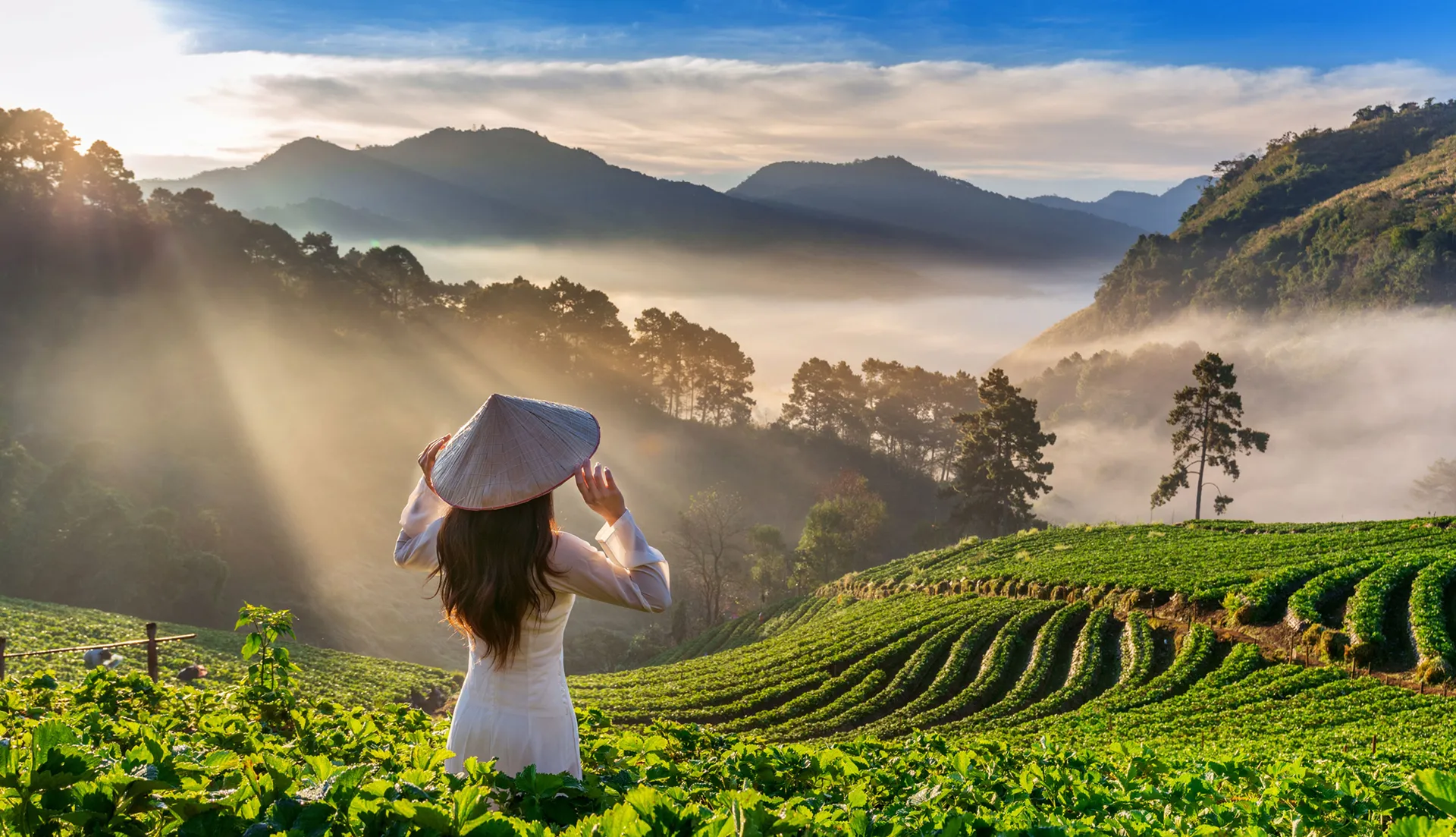 Kerala scenery and context for dental tourism at Kolabhagath